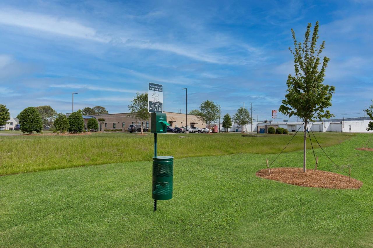 Hampton Inn Albertville, Al Zewnętrze zdjęcie